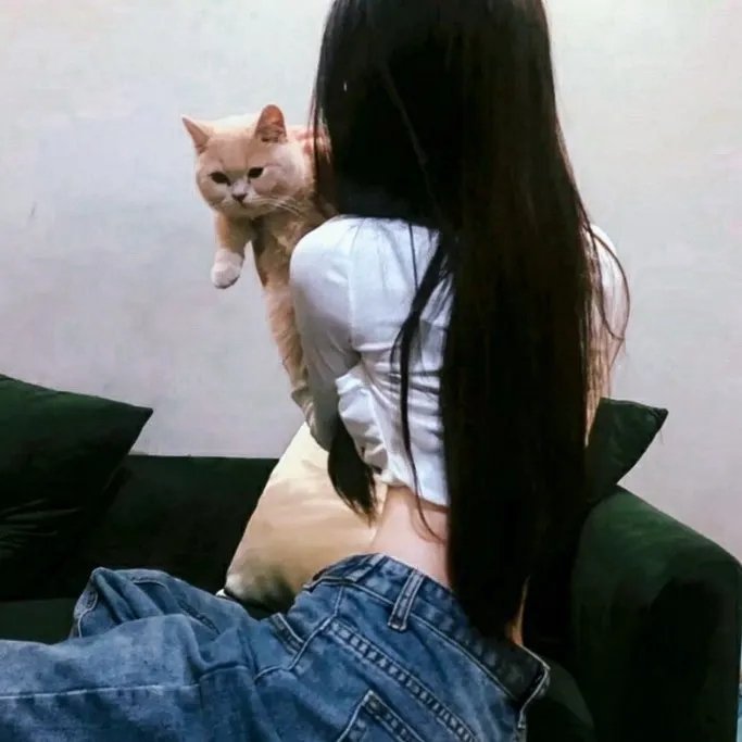 溶尸奇案